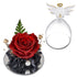 ea9d8bc968ac64715680d8837ec04fe8